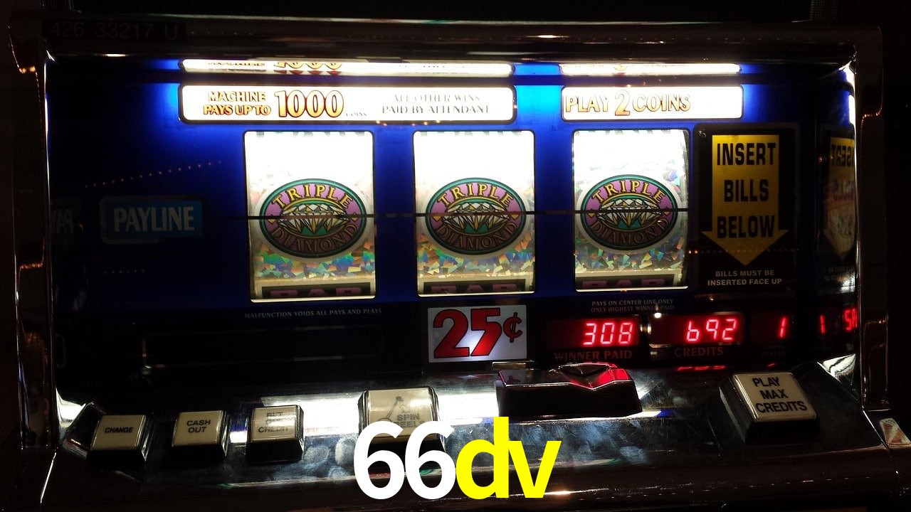 Sports Statistics 66dv