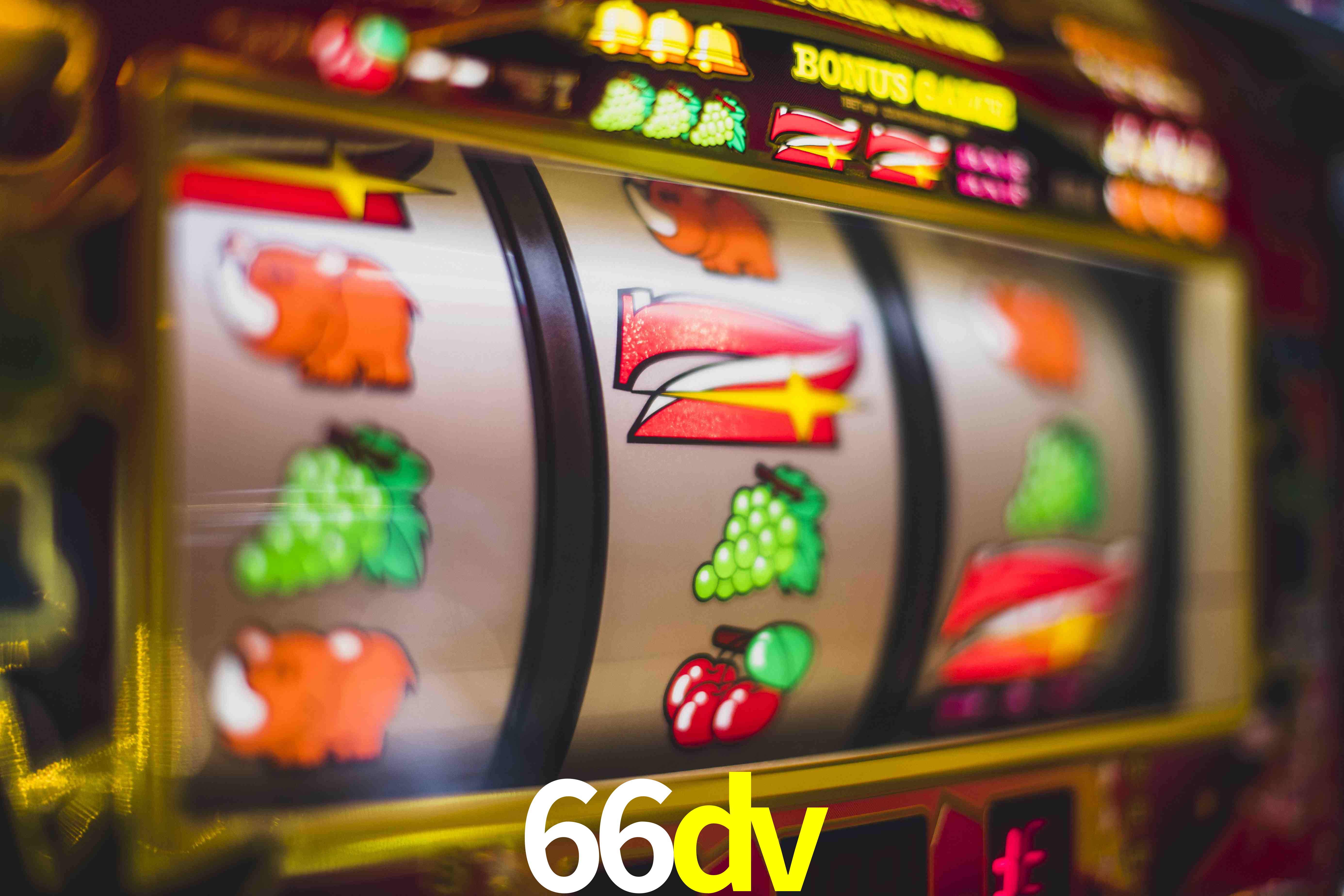 Football Betting 66dv